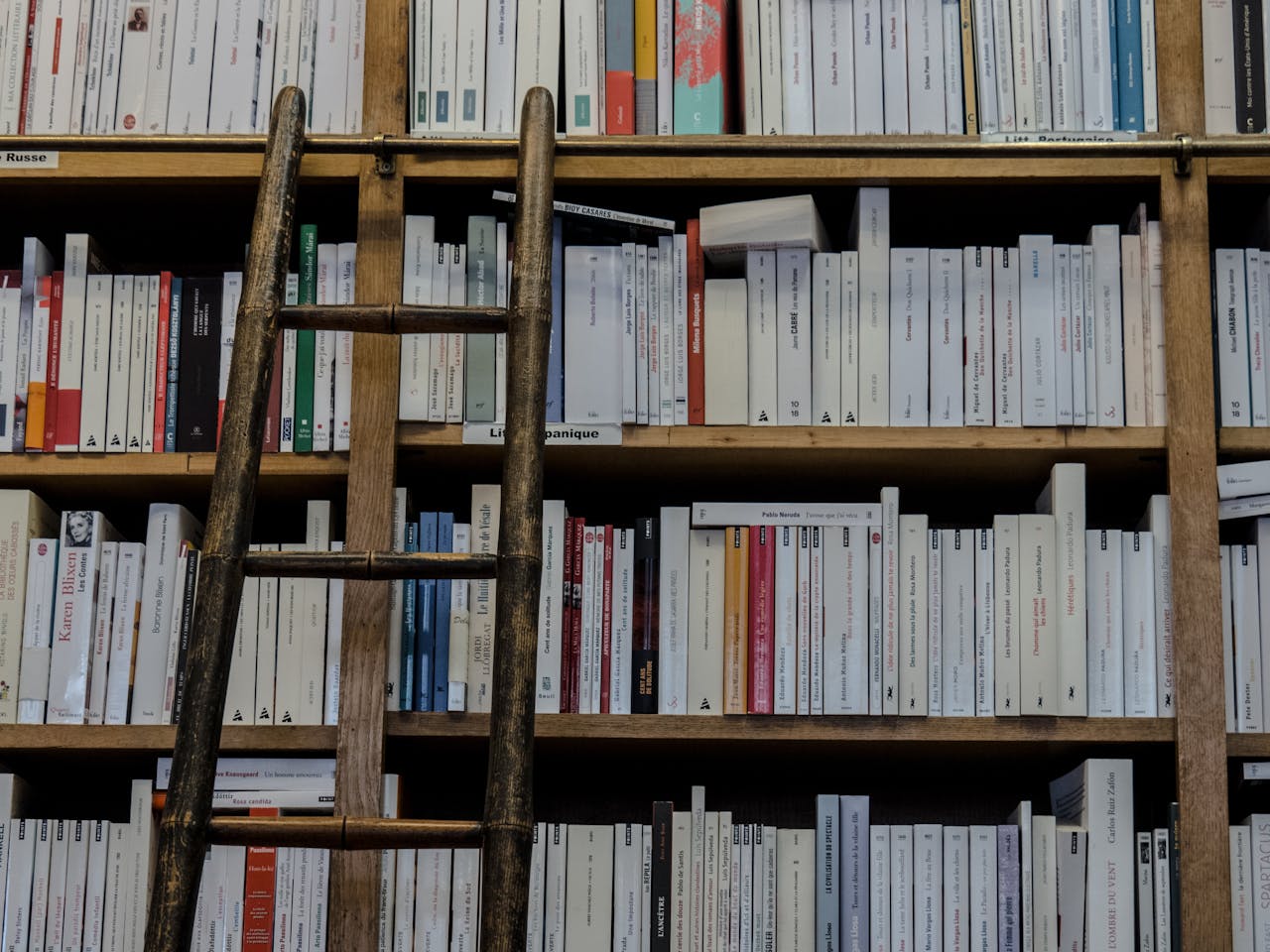 services-01 A wooden ladder leaning against a full bookcase in a library, showcasing hardcover books arranged in an organized manner.